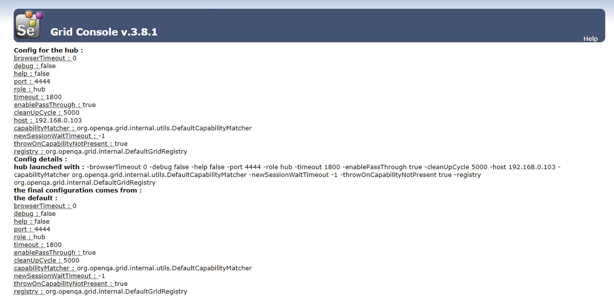 Selenium Grid Console Config