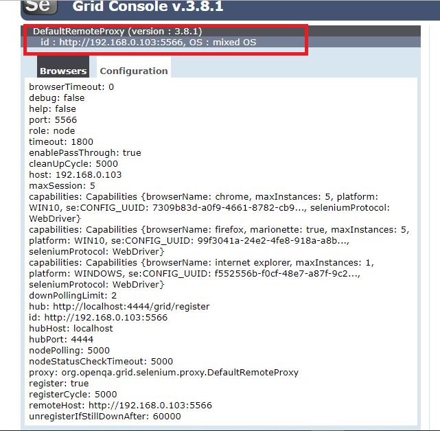 Node Console Config of Selenium Grid