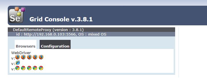 Node Console of Selenium Grid