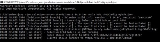 Selenium Grid Json file configuration hub