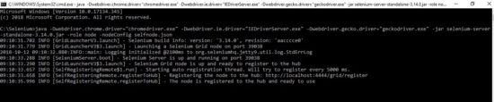 Selenium grid json configuration node