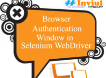browser authentication window