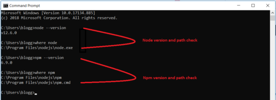 Node.js installation